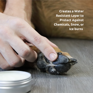 The Soft Paws Kit