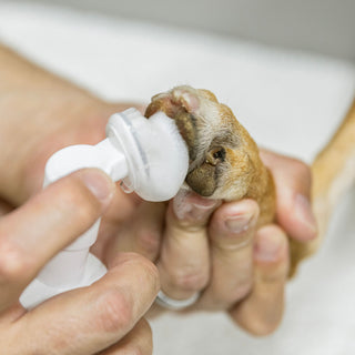 The Clean Paws Kit