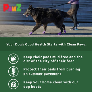 PawZ Rubber Dog Boots, 12 Boots, Classic Colors