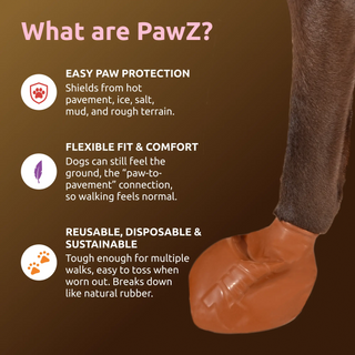 PawZ Rubber Dog Boots, 12 Boots, Teak Brown