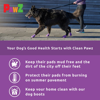 PawZ Rubber Dog Boots, 12 Boots, Classic Colors