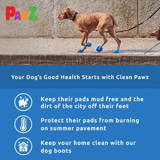 PawZ Rubber Dog Boots, 12 Boots, Classic Colors