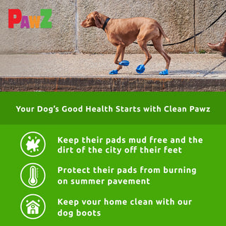 PawZ Rubber Dog Boots, 12 Boots, Classic Colors