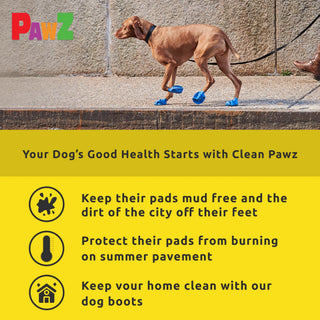 PawZ Rubber Dog Boots, 12 Boots, Classic Colors